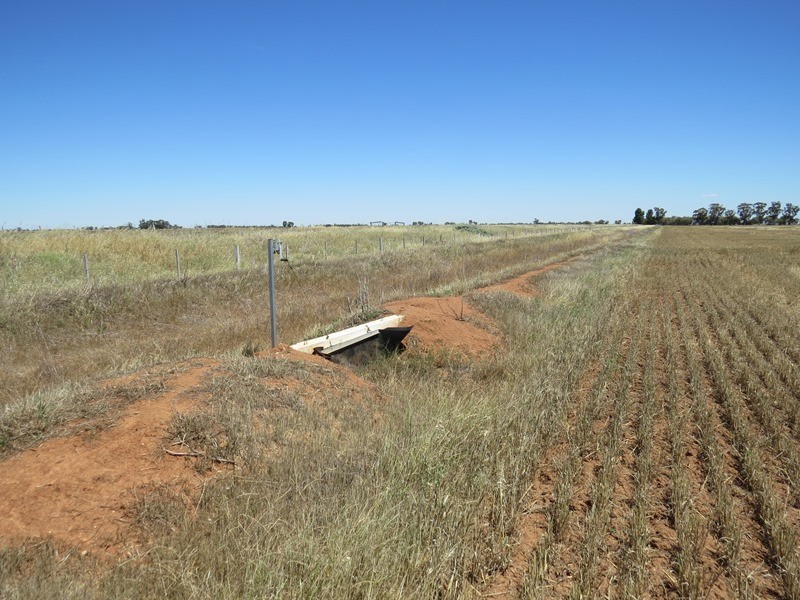 534 Willawa Lane, Jerilderie NSW 2716