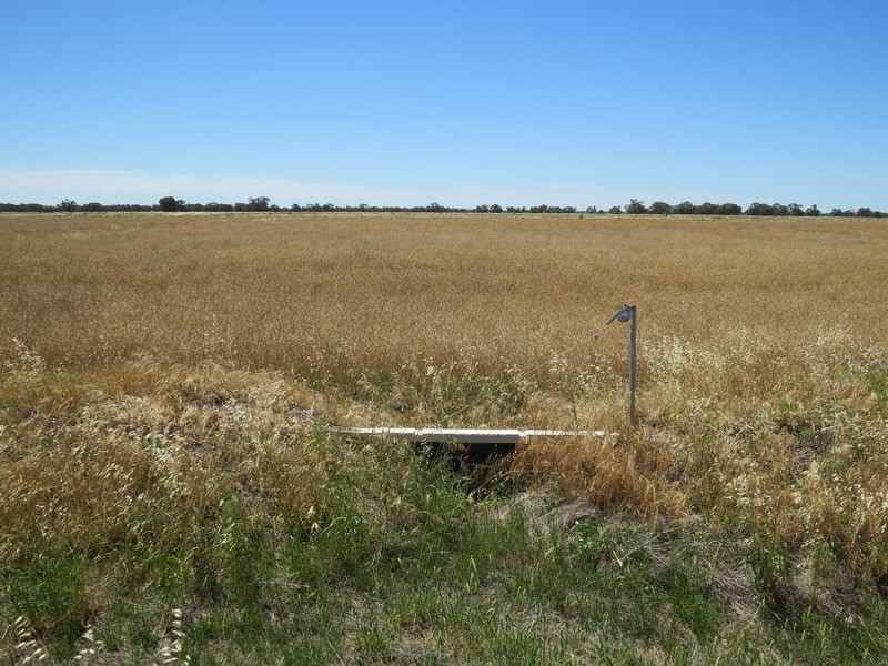 534 Willawa Lane, Jerilderie NSW 2716