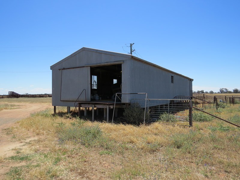 534 Willawa Lane, Jerilderie NSW 2716