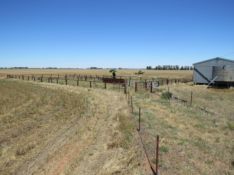 534 Willawa Lane, Jerilderie NSW 2716