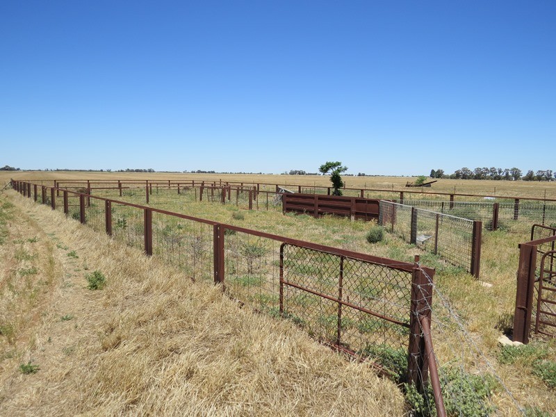 534 Willawa Lane, Jerilderie NSW 2716