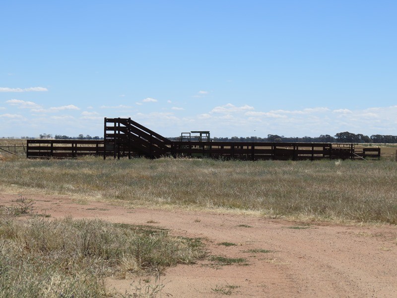 534 Willawa Lane, Jerilderie NSW 2716