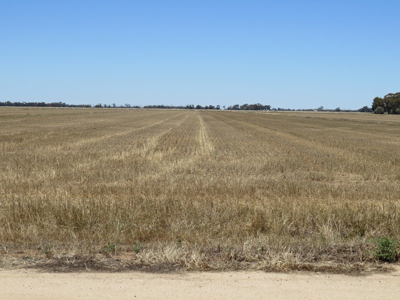 534 Willawa Lane, Jerilderie NSW 2716