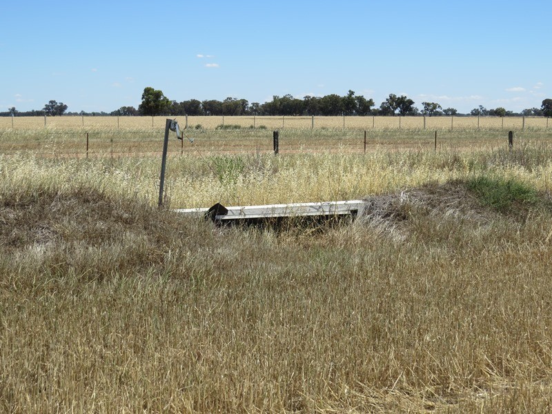 534 Willawa Lane, Jerilderie NSW 2716