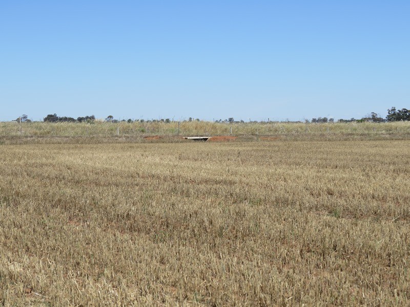 534 Willawa Lane, Jerilderie NSW 2716