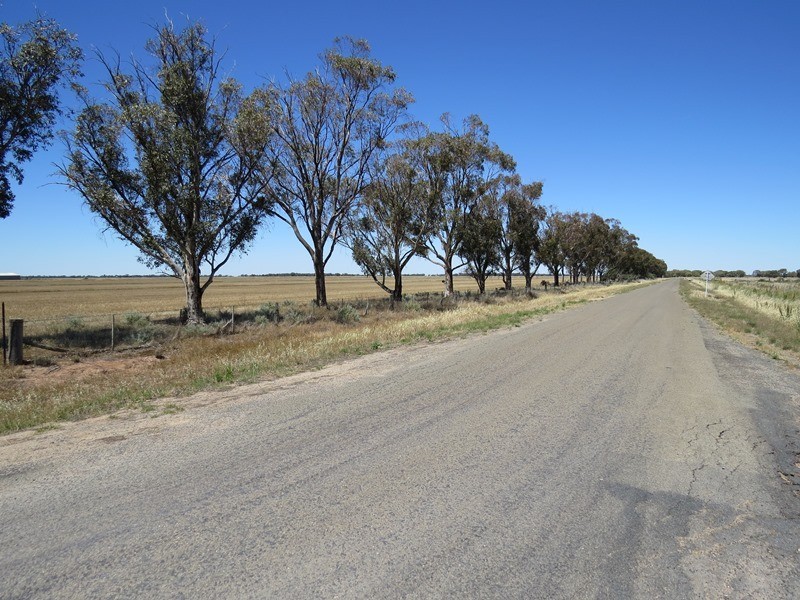 534 Willawa Lane, Jerilderie NSW 2716