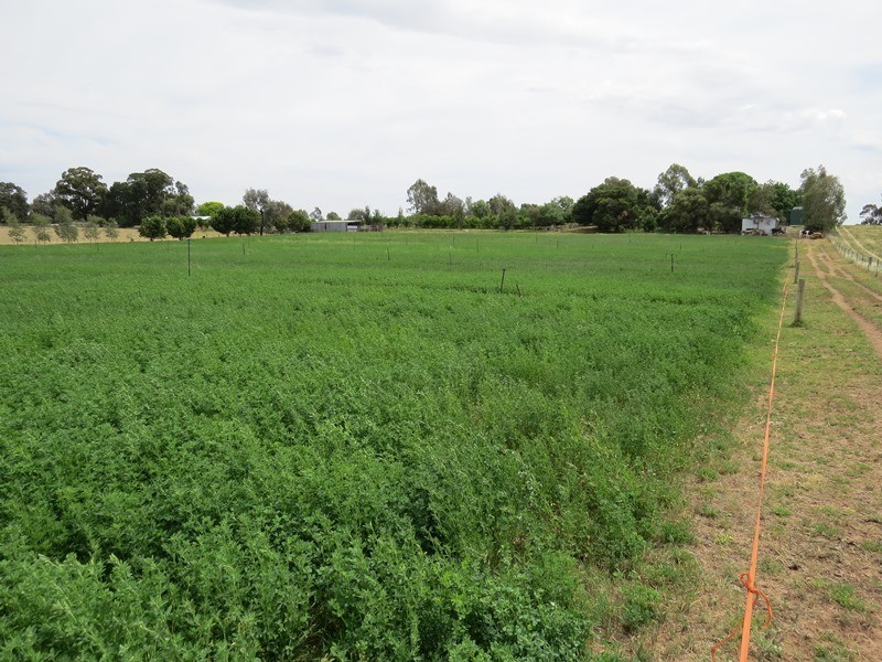 2619 Murray Valley Highway, Cobram East VIC 3644