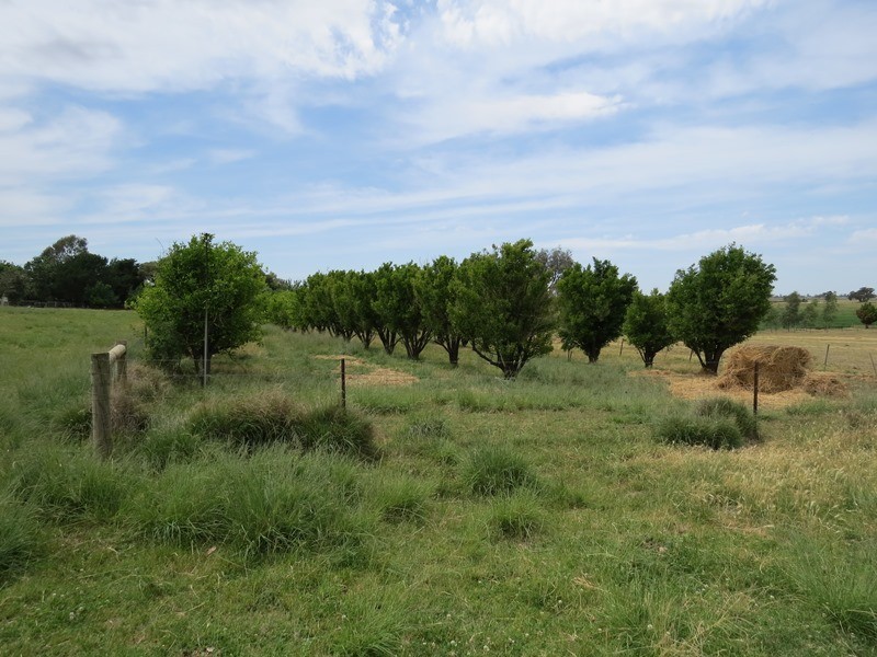 2619 Murray Valley Highway, Cobram East VIC 3644