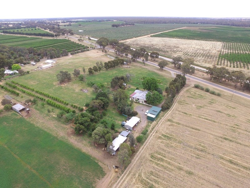 2619 Murray Valley Highway, Cobram East VIC 3644