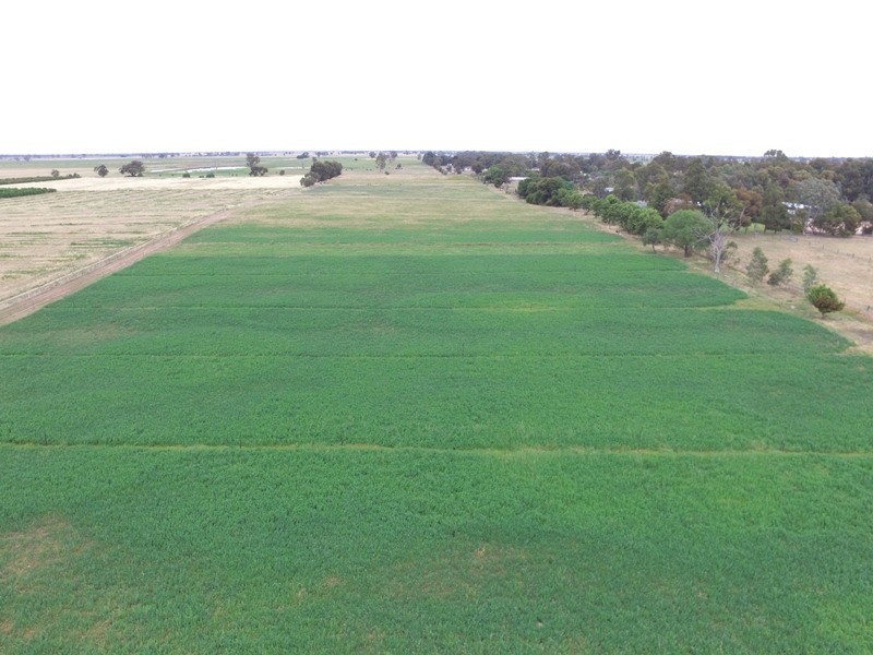 2619 Murray Valley Highway, Cobram East VIC 3644