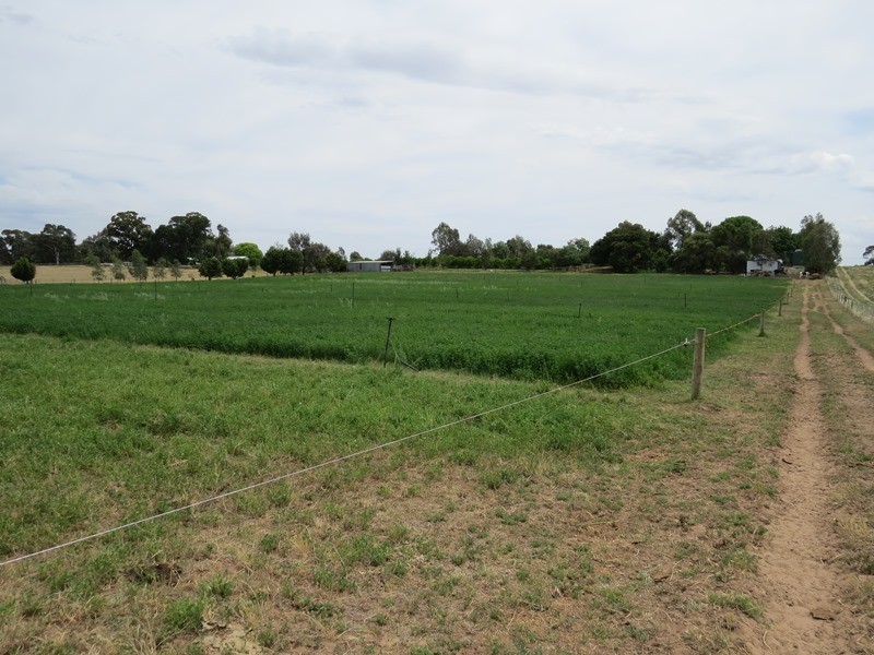 2619 Murray Valley Highway, Cobram East VIC 3644