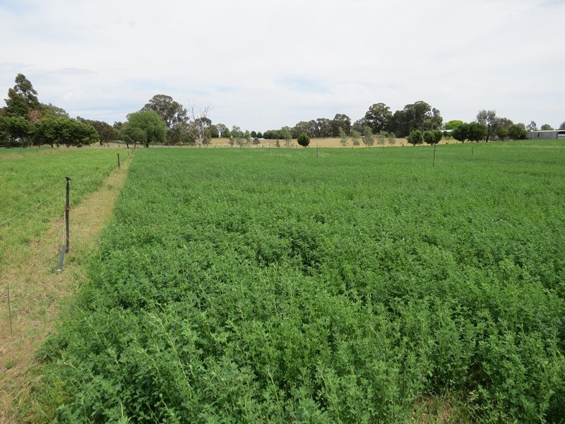 2619 Murray Valley Highway, Cobram East VIC 3644