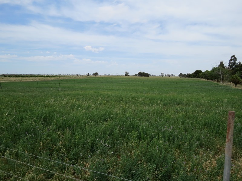 2619 Murray Valley Highway, Cobram East VIC 3644