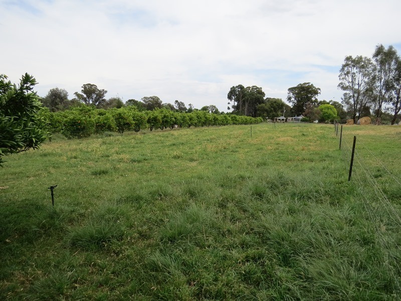 2619 Murray Valley Highway, Cobram East VIC 3644