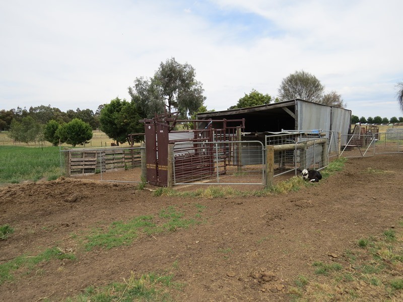 2619 Murray Valley Highway, Cobram East VIC 3644