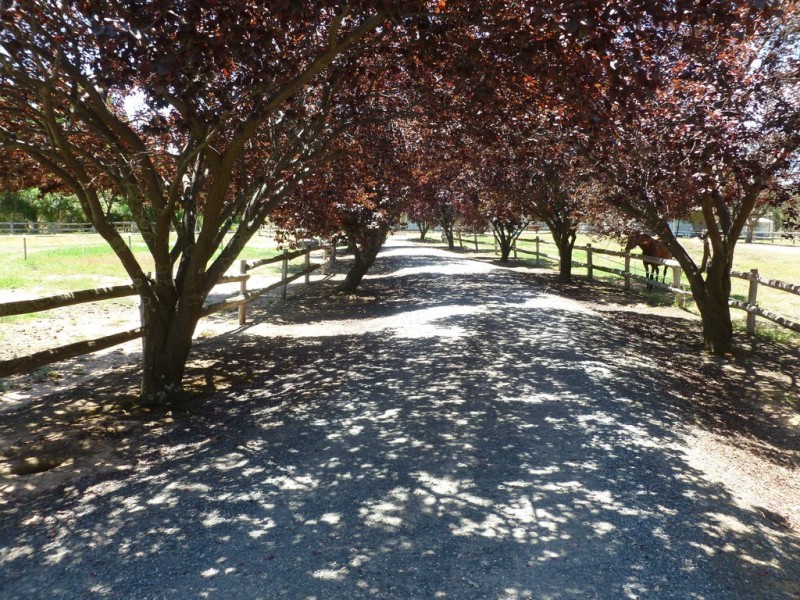 71 Forrest Lane, Chiltern VIC 3683