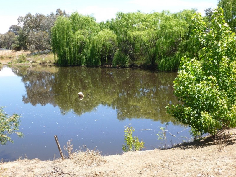 71 Forrest Lane, Chiltern VIC 3683