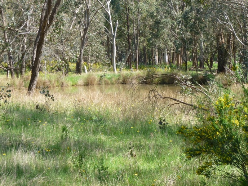 0 Hurdle Flat Road, Stanley VIC 3747