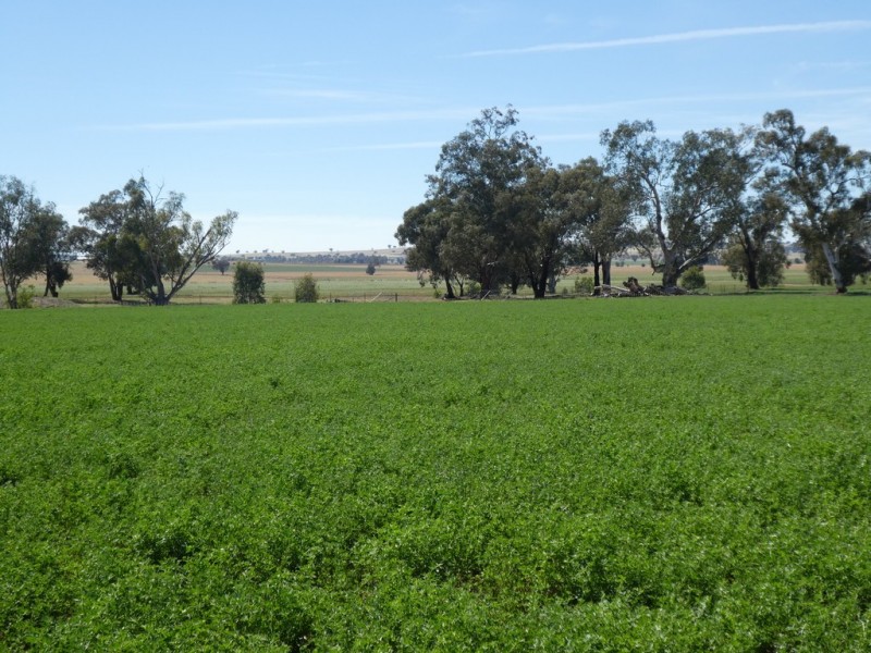 254 Wyoming Lane OLD JUNEE VIA, Wagga Wagga NSW 2650