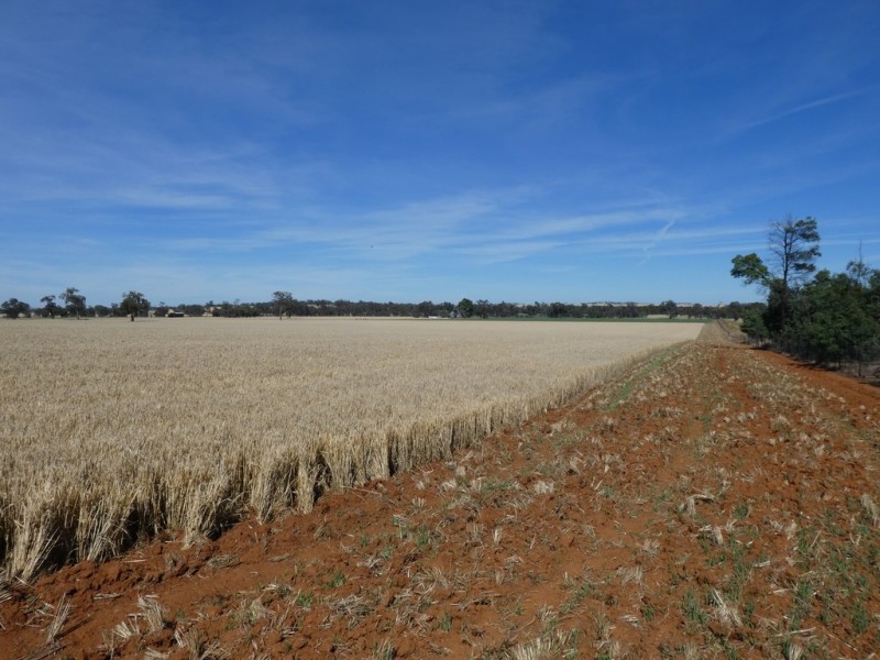 254 Wyoming Lane OLD JUNEE VIA, Wagga Wagga NSW 2650