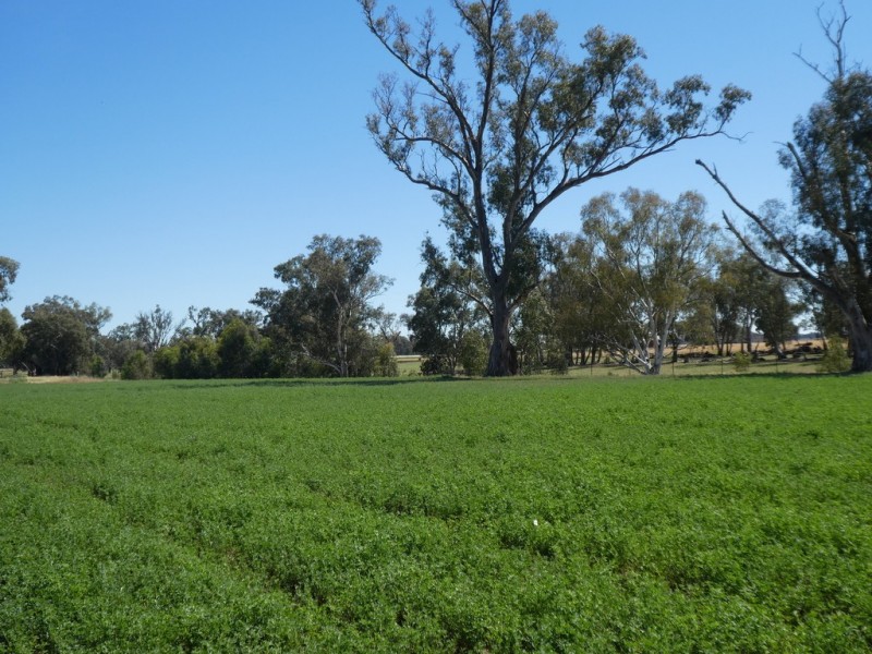 254 Wyoming Lane OLD JUNEE VIA, Wagga Wagga NSW 2650