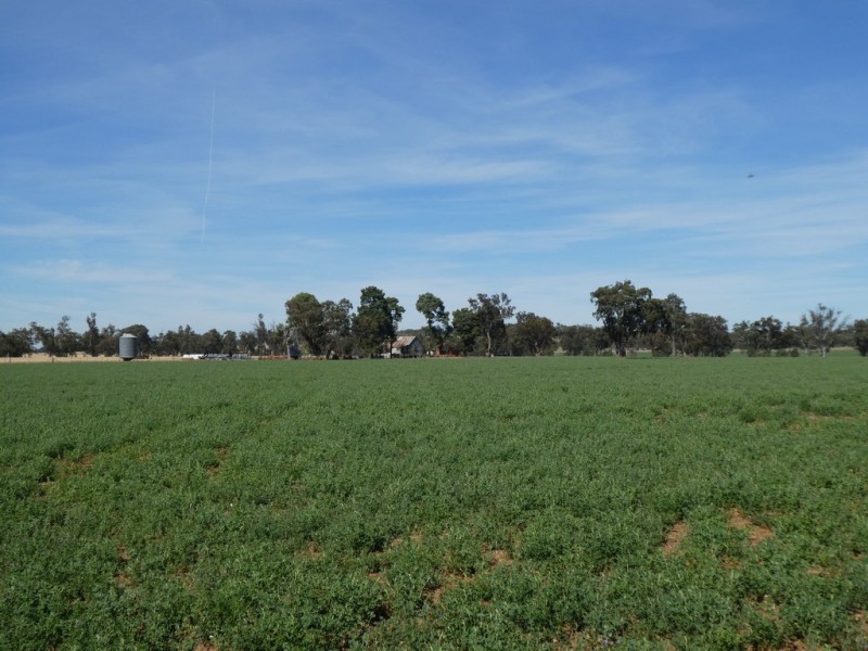 254 Wyoming Lane OLD JUNEE VIA, Wagga Wagga NSW 2650