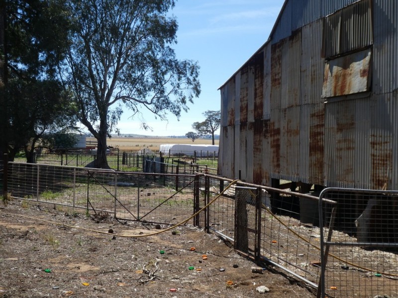 254 Wyoming Lane OLD JUNEE VIA, Wagga Wagga NSW 2650