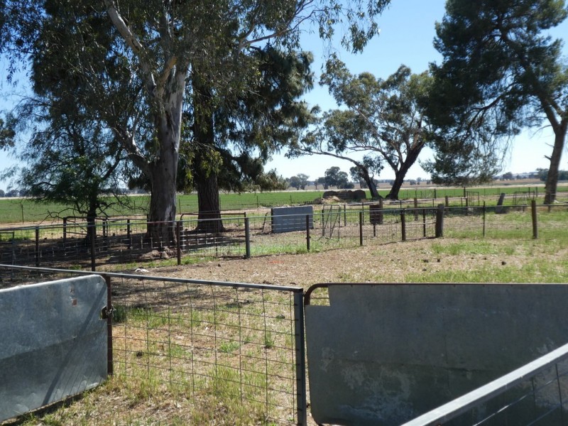 254 Wyoming Lane OLD JUNEE VIA, Wagga Wagga NSW 2650