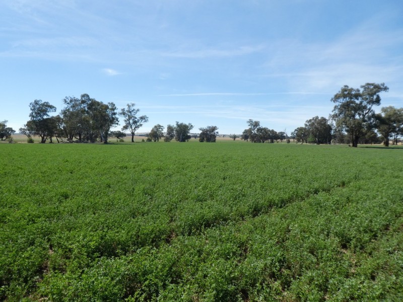 254 Wyoming Lane OLD JUNEE VIA, Wagga Wagga NSW 2650