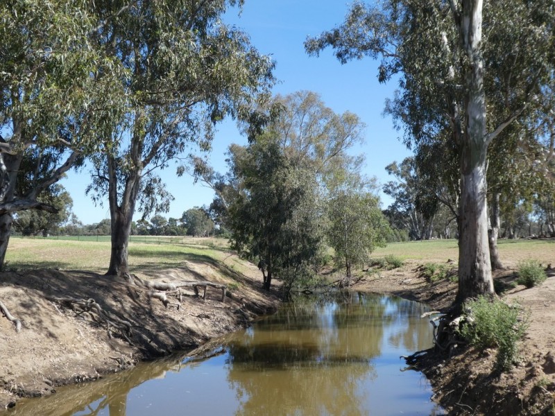 254 Wyoming Lane OLD JUNEE VIA, Wagga Wagga NSW 2650