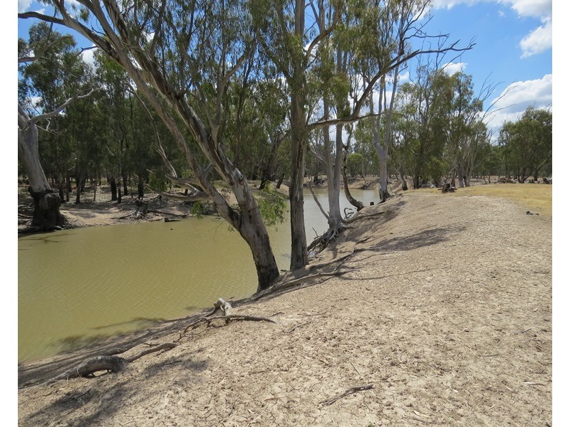 1063 Gonn Road, Barham NSW 2732