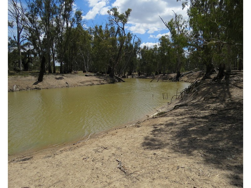 1063 Gonn Road, Barham NSW 2732