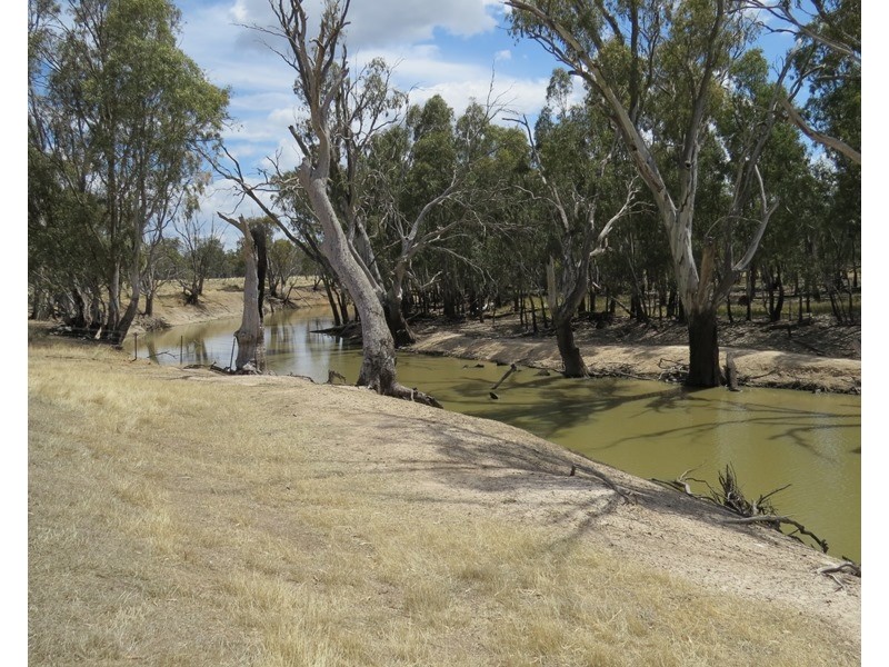 1063 Gonn Road, Barham NSW 2732