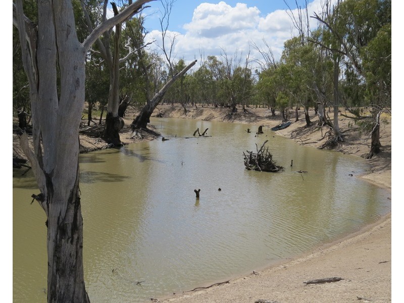 1063 Gonn Road, Barham NSW 2732