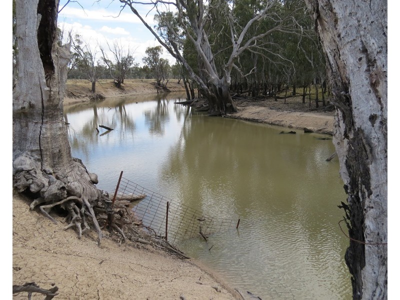 1063 Gonn Road, Barham NSW 2732