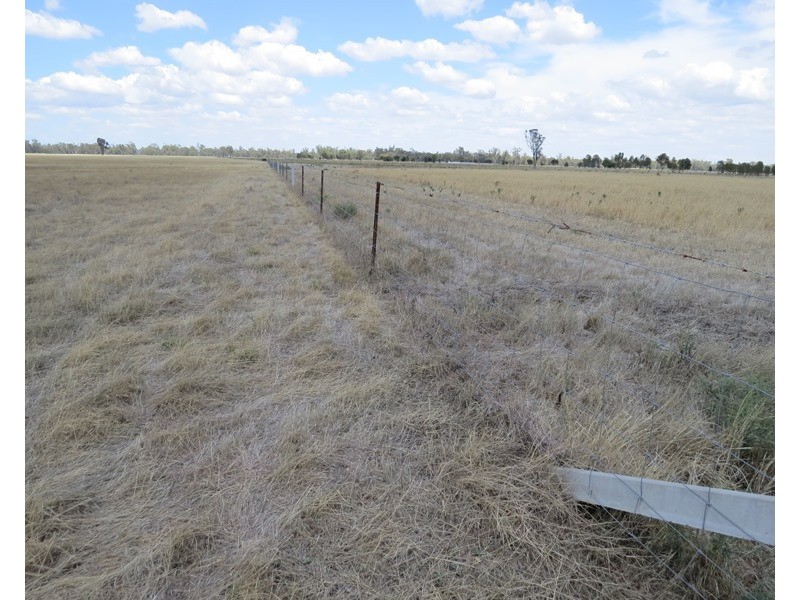 1063 Gonn Road, Barham NSW 2732