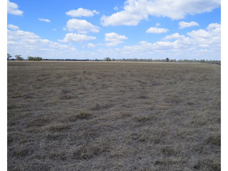 1063 Gonn Road, Barham NSW 2732