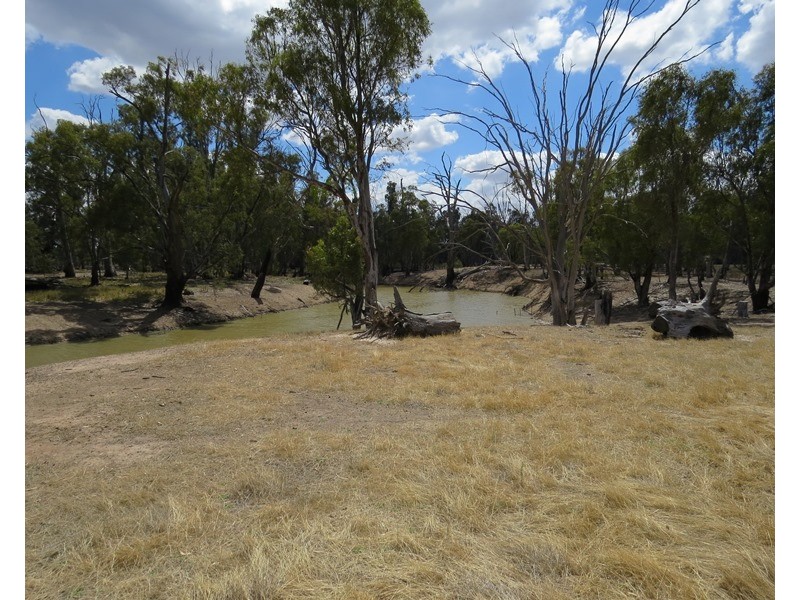 1063 Gonn Road, Barham NSW 2732