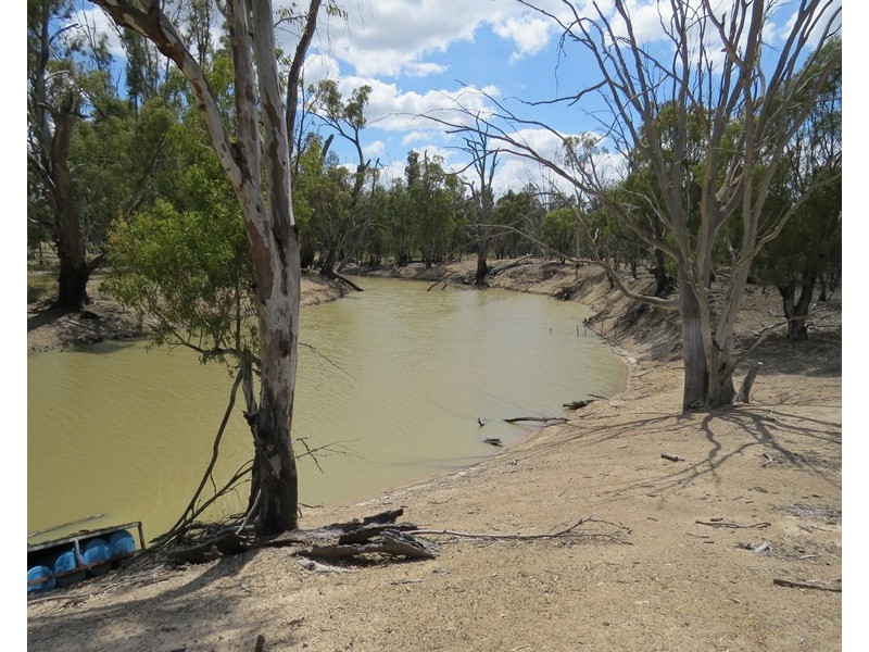 1063 Gonn Road, Barham NSW 2732