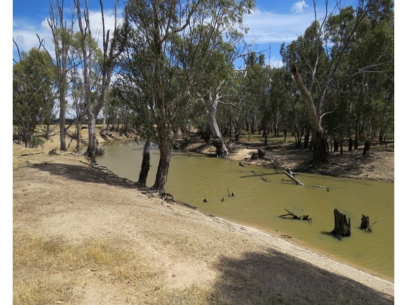 1063 Gonn Road, Barham NSW 2732