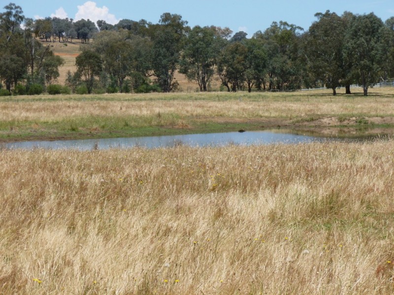 Lot 2, 71 Forrest Lane, Chiltern VIC 3683