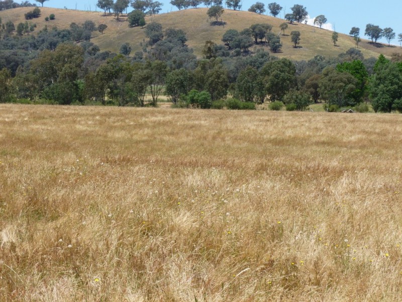 Lot 2, 71 Forrest Lane, Chiltern VIC 3683