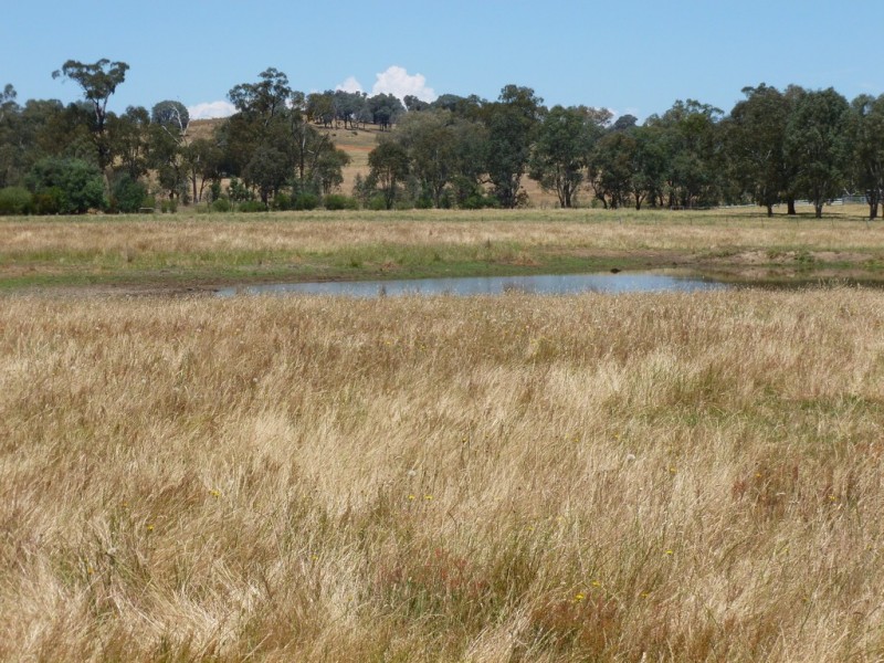 Lot 2, 71 Forrest Lane, Chiltern VIC 3683