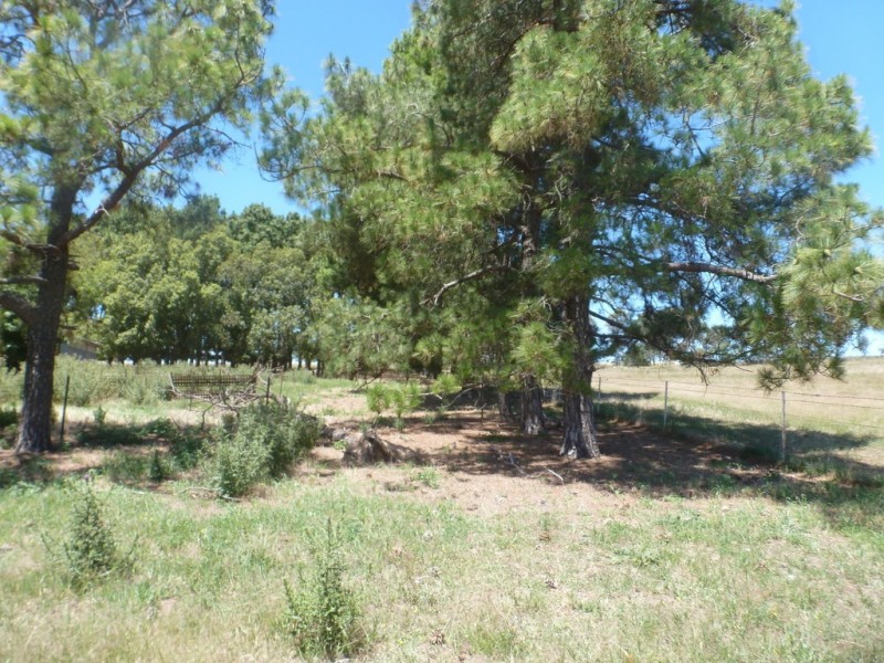 182 HOPEFIELD LANE, Boorowa NSW 2586