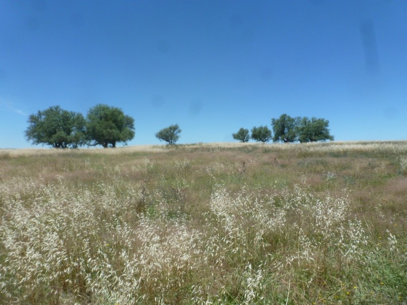 182 HOPEFIELD LANE, Boorowa NSW 2586