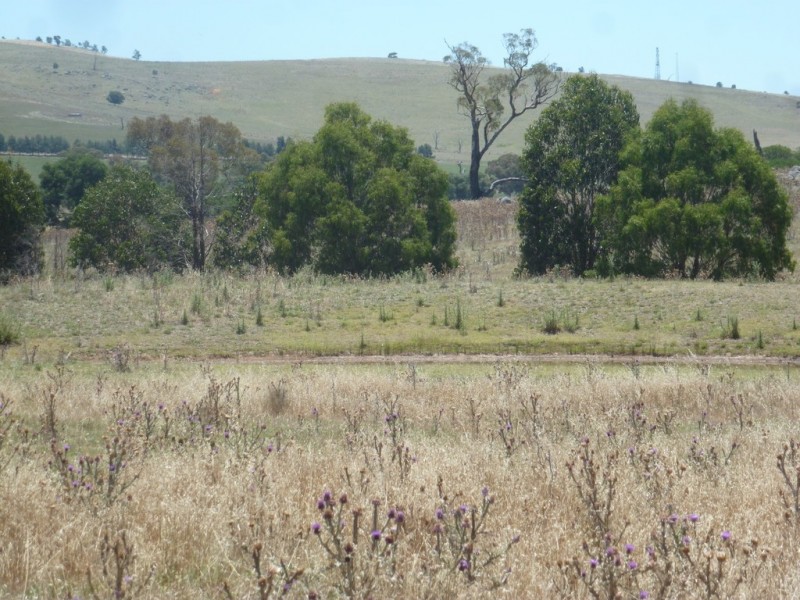 182 HOPEFIELD LANE, Boorowa NSW 2586