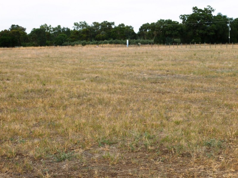 Lot 7 Riverina Highway, Howlong NSW 2643