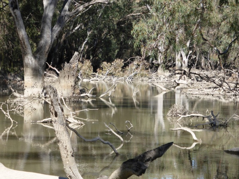 - Arrawidgee Rd, Morundah NSW 2700