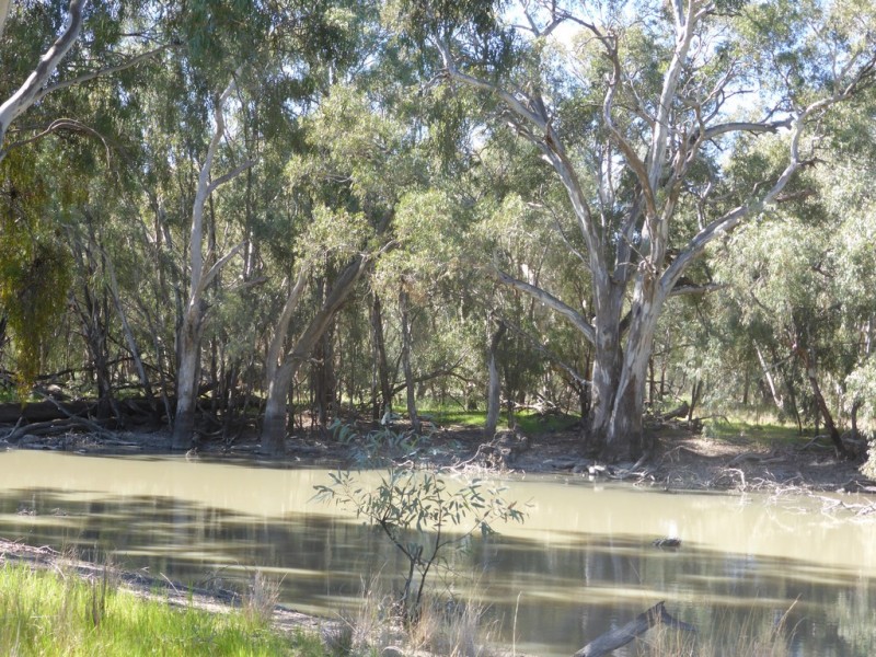 - Arrawidgee Rd, Morundah NSW 2700