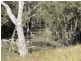 - Arrawidgee Rd, Morundah NSW 2700